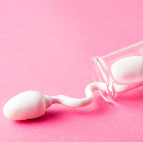how long can sperm survive