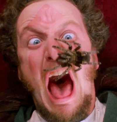 Home Alone 13 Things You Never Knew About The Movies Home Alone 13 Things You Never Knew About The Movies