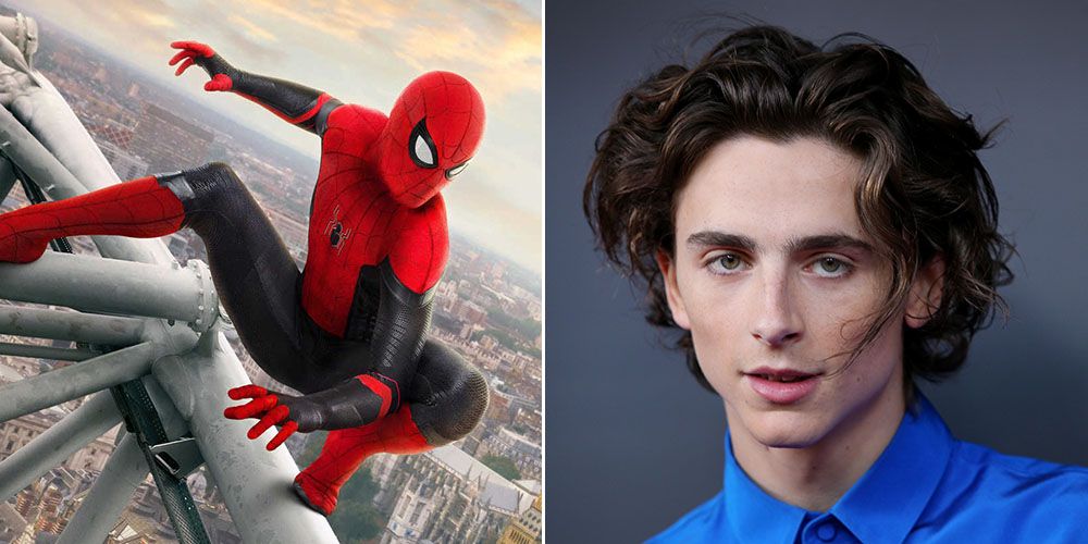 Timothée Chalamet estuvo a punto de ser Spider-Man - Marvel