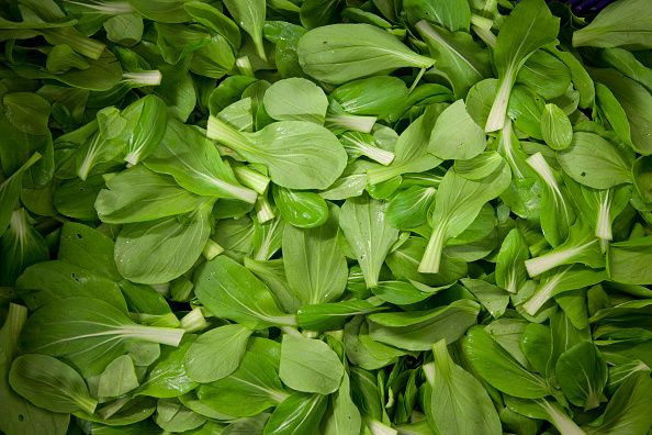 organic spinach, riverford organics farm, devon, uk food industry photo by in pictures ltdcorbis via getty images