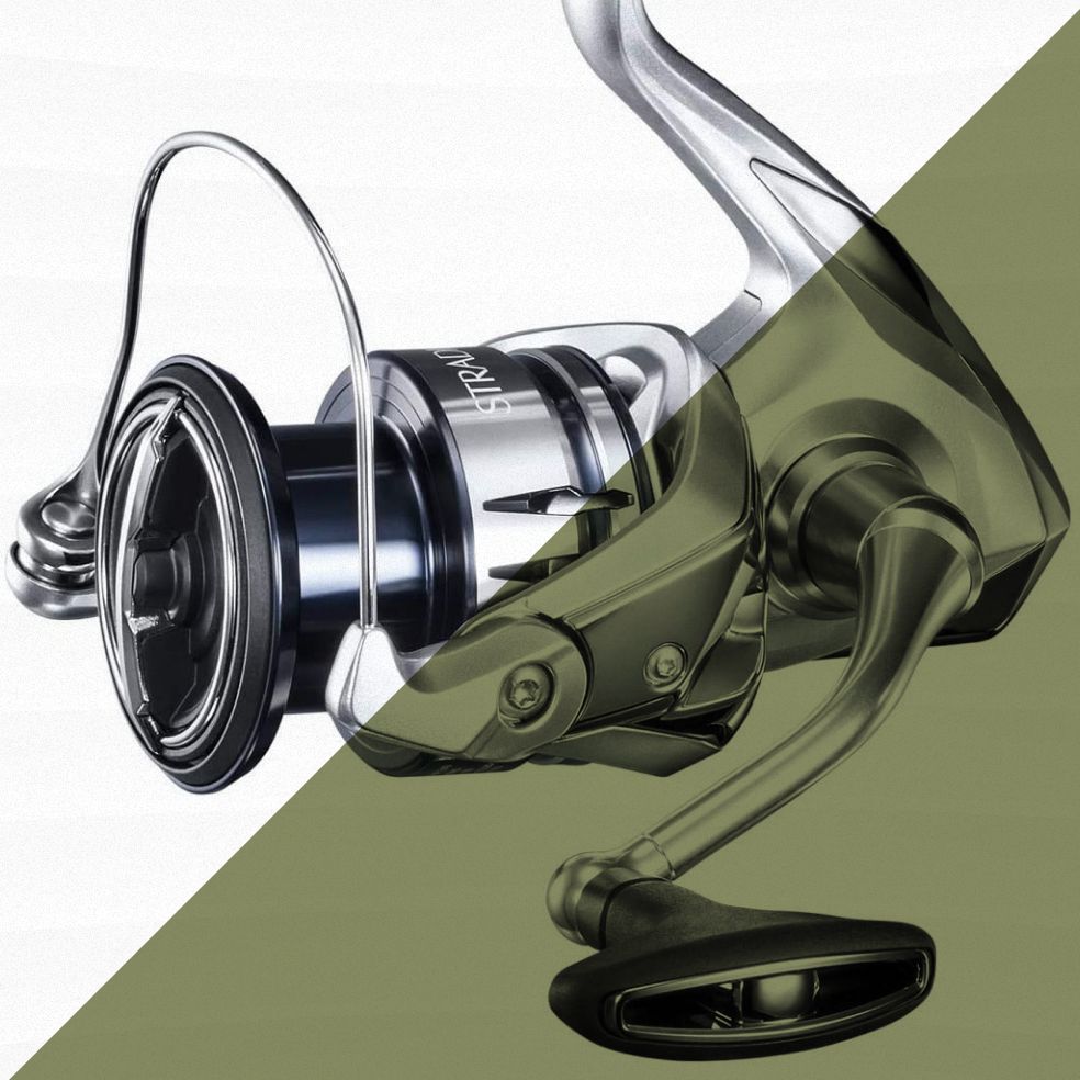 8 Best Spinning Reels for Every Angler
