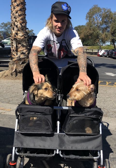 Justin Bieber Playing with Two Dogs in a Double Stroller Is the Only ...
