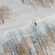 backcountry cyber sale