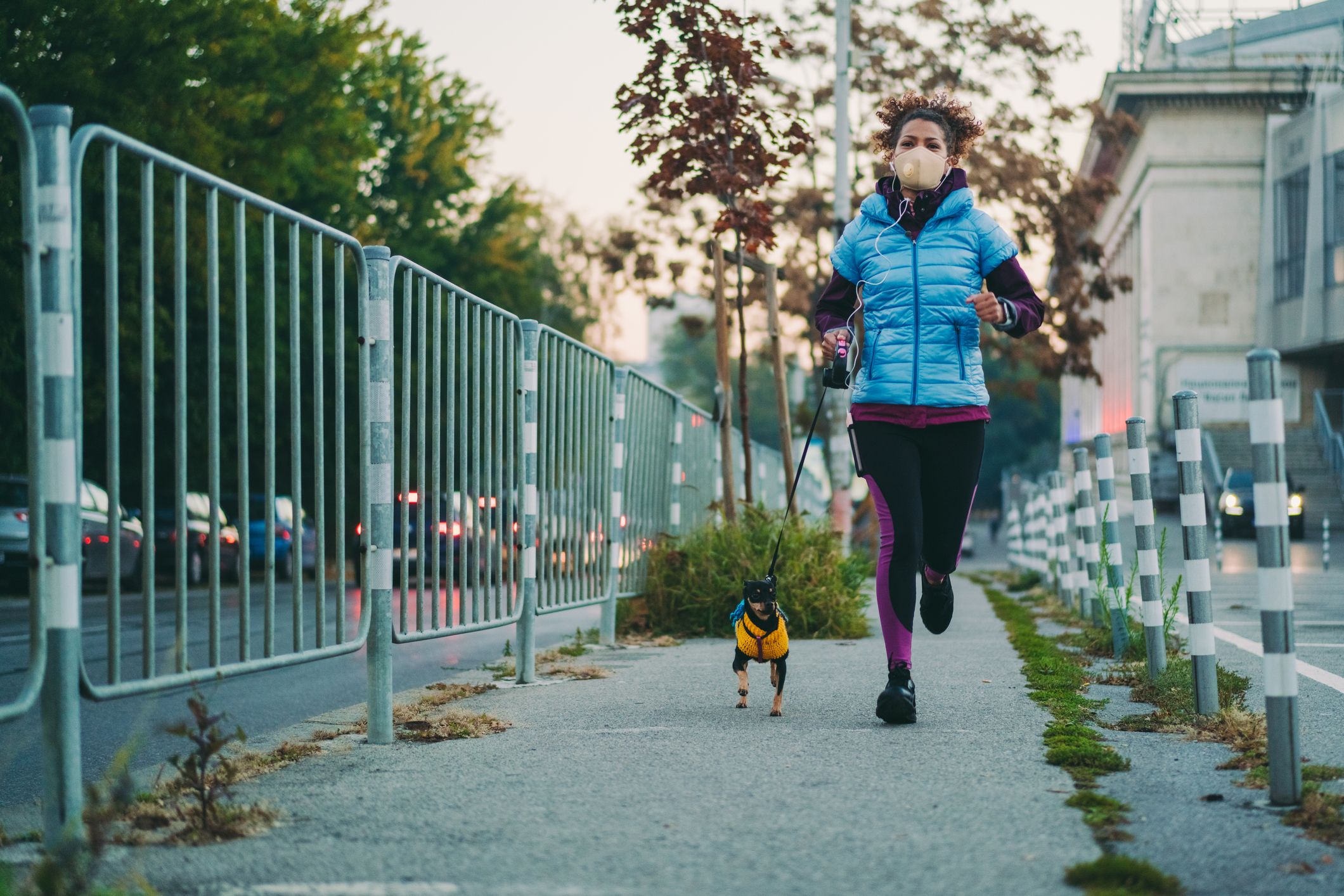 dog runners for big dogs