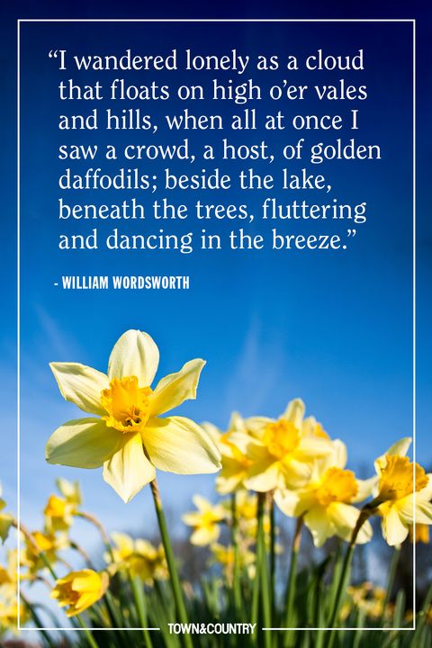 20 Best Spring Quotes - Inspirational and Funny Sayings ...