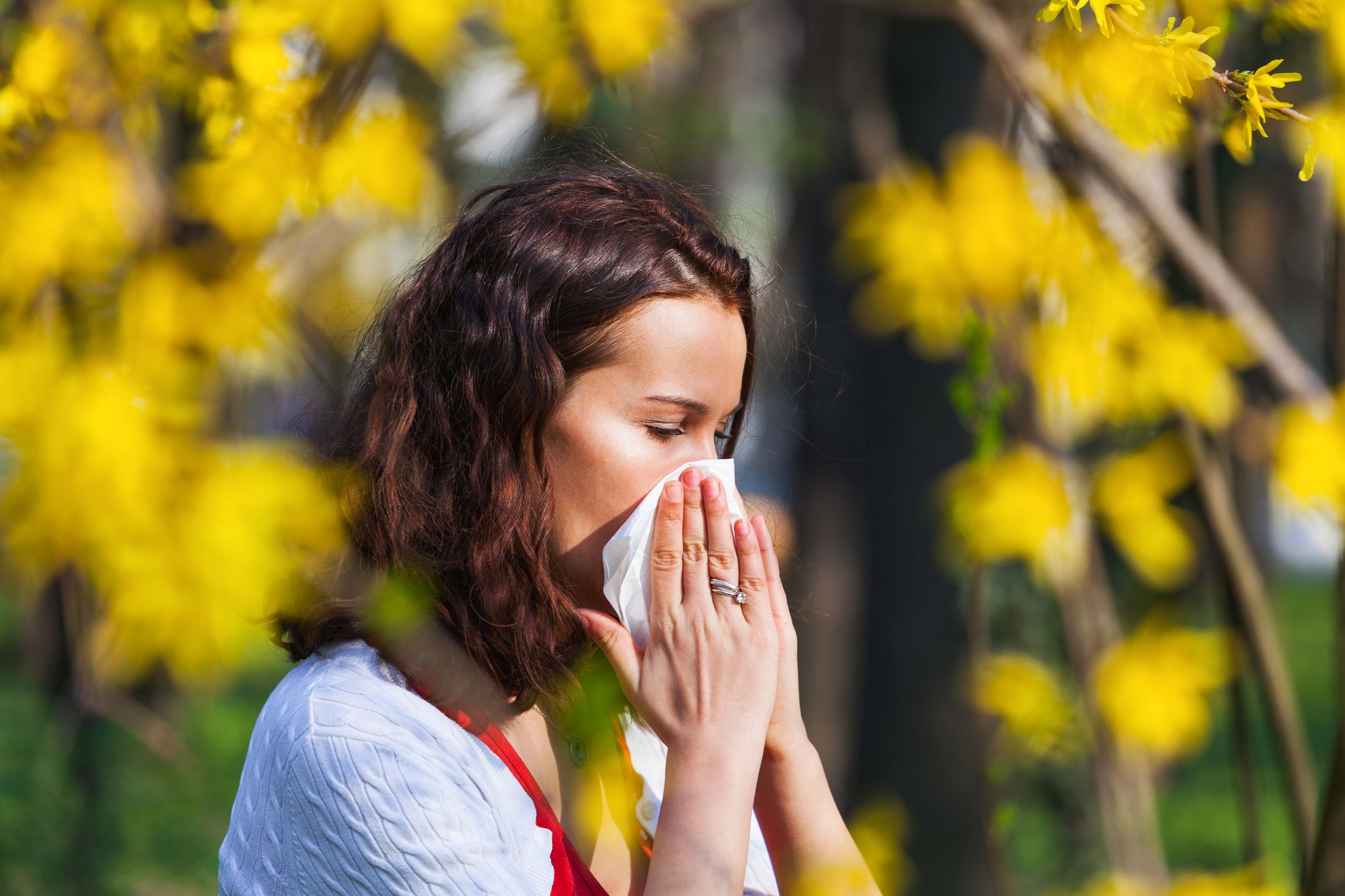 Common Spring Allergy Symptoms - How to Identify and Treat Spring Allergies