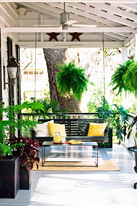outdoor area with bench and ferns