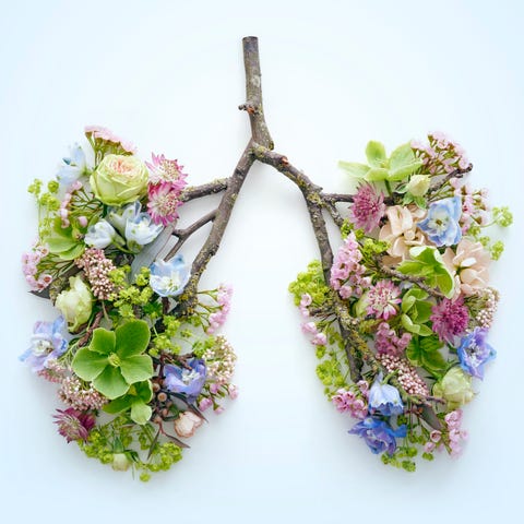 Spring flowers representing human lungs