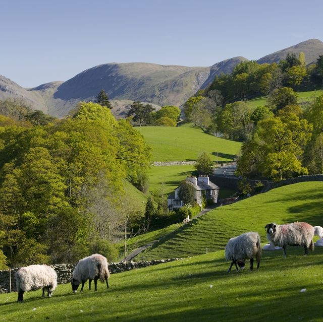 spring in troutbeck valley with the kentmere fells beyond, in the scenic lake district