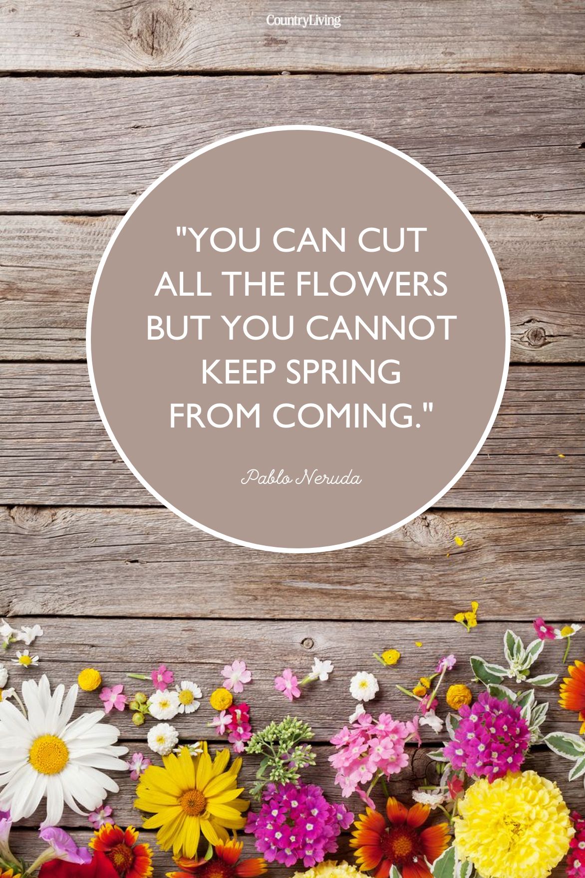 40 Best Happy Spring Quotes Motivational Sayings About Spring