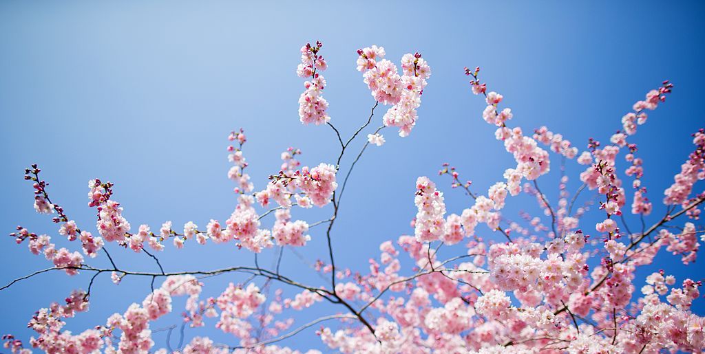 30 Inspirational Spring Quotes Quotes For Welcoming Spring