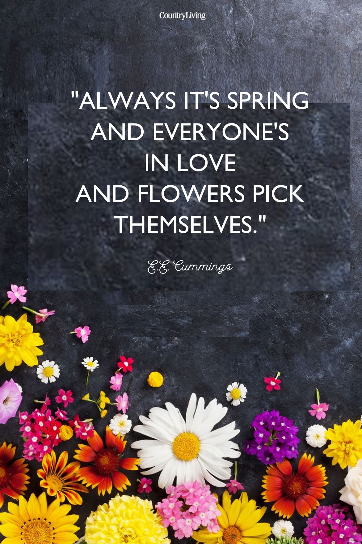 Buy Her Flowers Just Because Quotes - memmiblog
