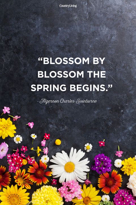 Image result for Spring quotes