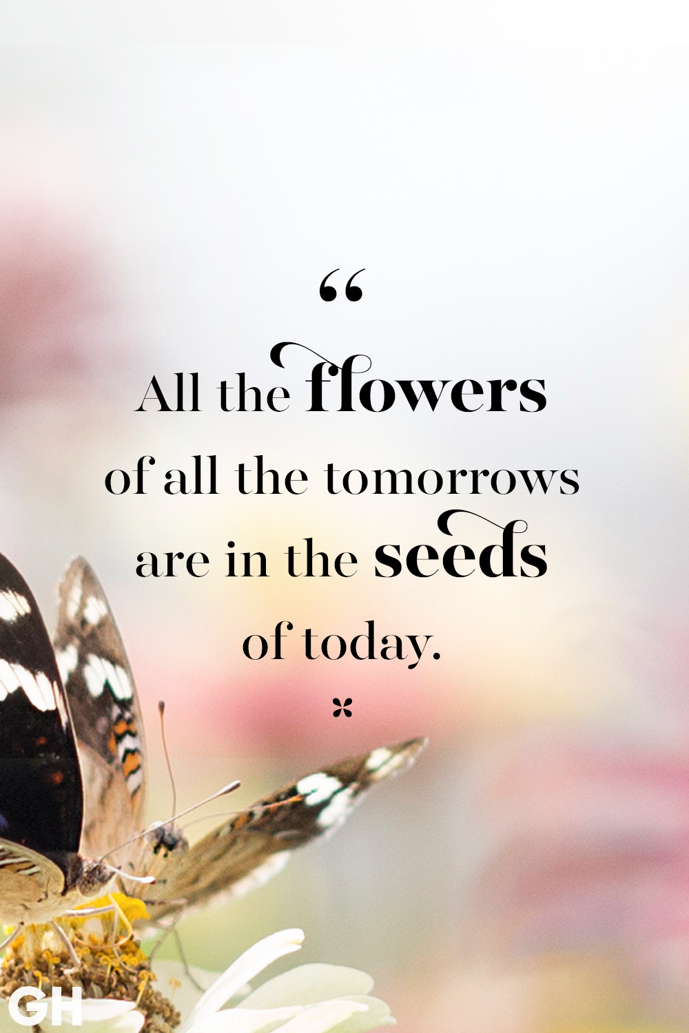 √ Flower Joy Quotes