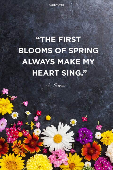 40 Best Happy Spring Quotes - Motivational Sayings About Spring