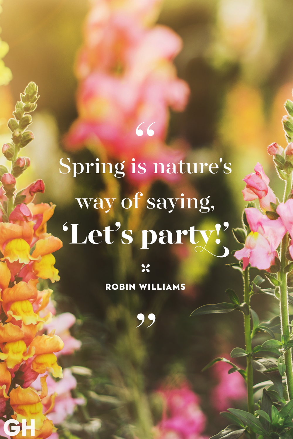 Funny Spring Sayings And Quotes MCgill Ville