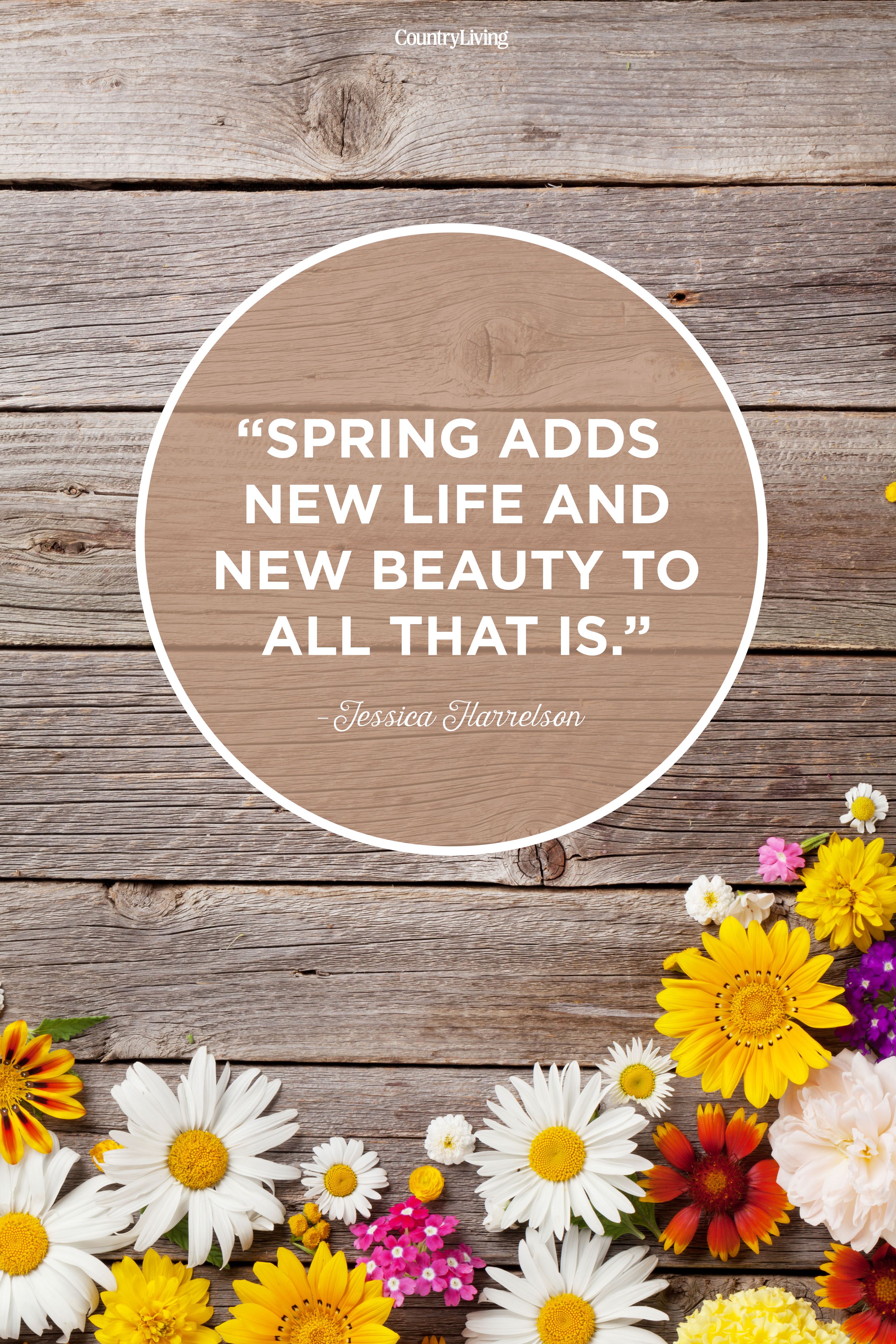 Quotes About Spring Has Sprung