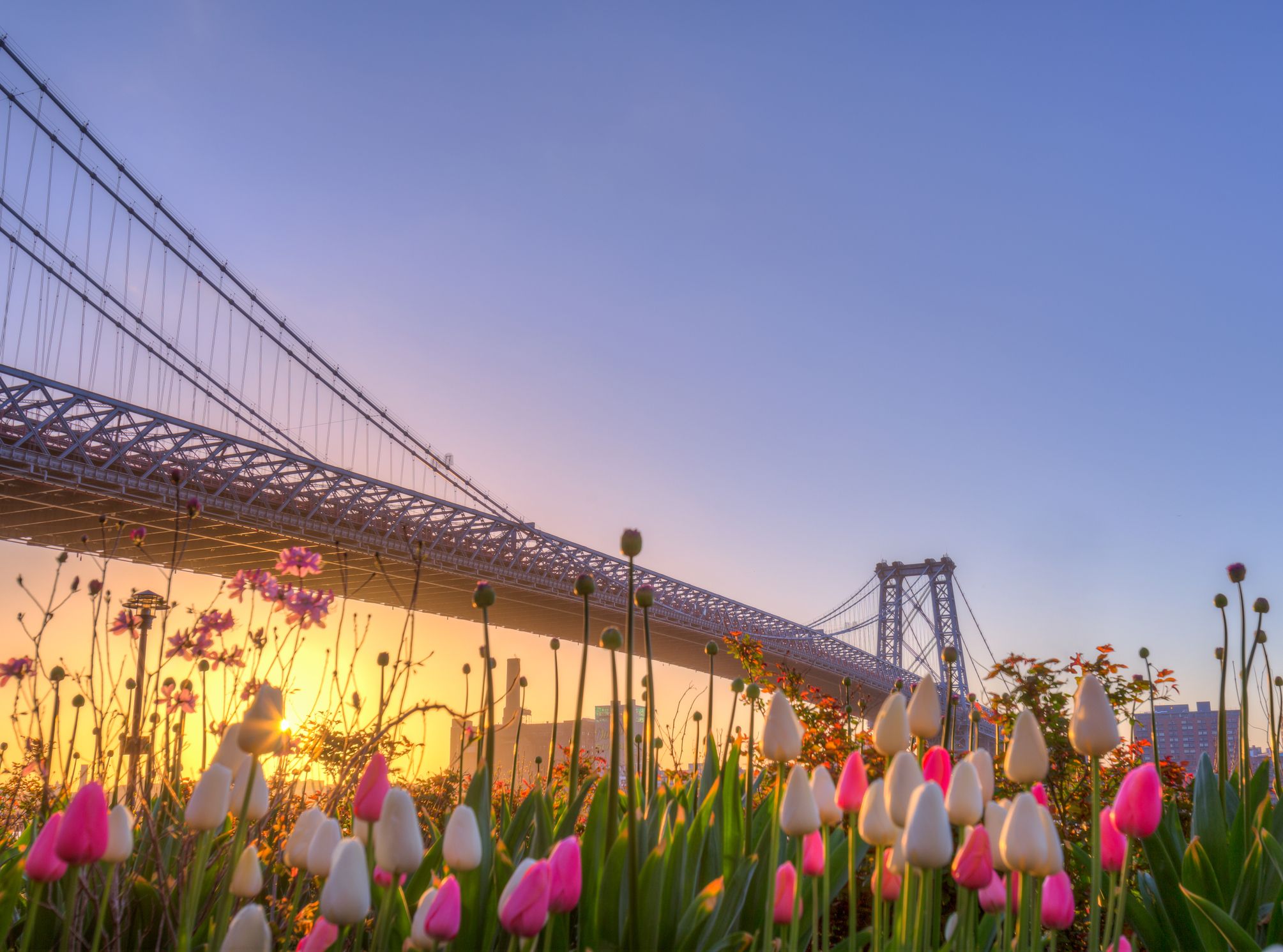 25 Things To Do In New York City On Mother S Day 2020 Best