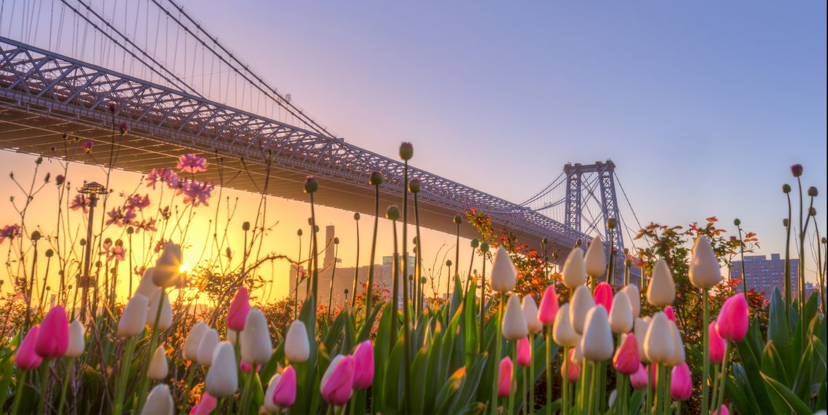 25 Things to Do in New York City on Mother's Day 2020 - Best Mother's Day Activities in NYC
