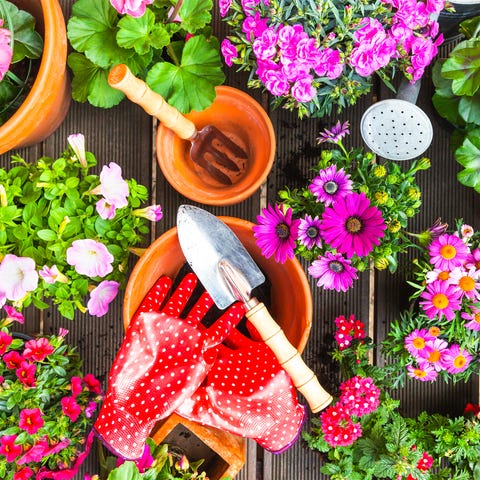 Outdoor Spring Yard Care Preparing Lawn For