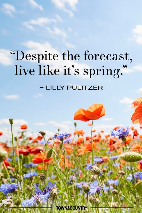 spring trip quotes