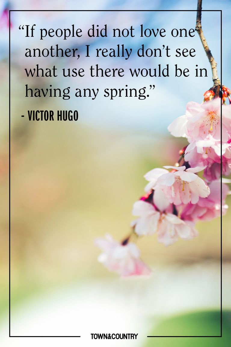 10 Best Spring Quotes - Inspirational and Funny Sayings About Spring