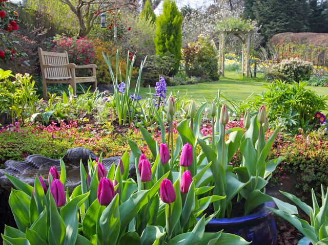 How To Prepare Your Garden For Spring According To Adam Frost