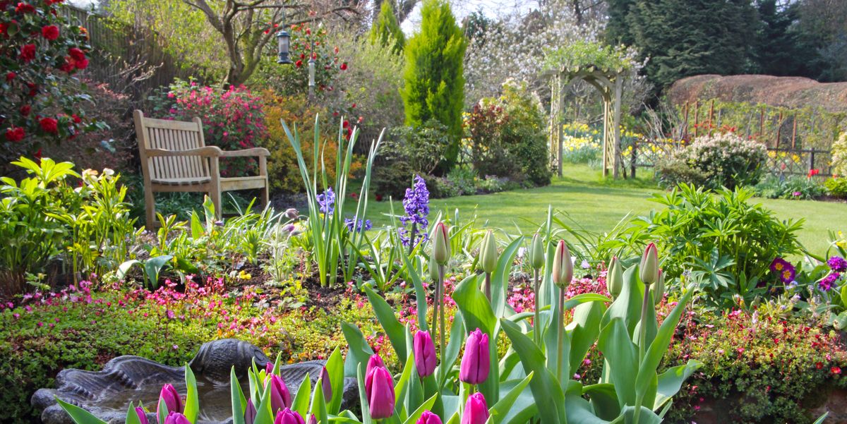 springtime in english domestic garden royalty free image 1586246705