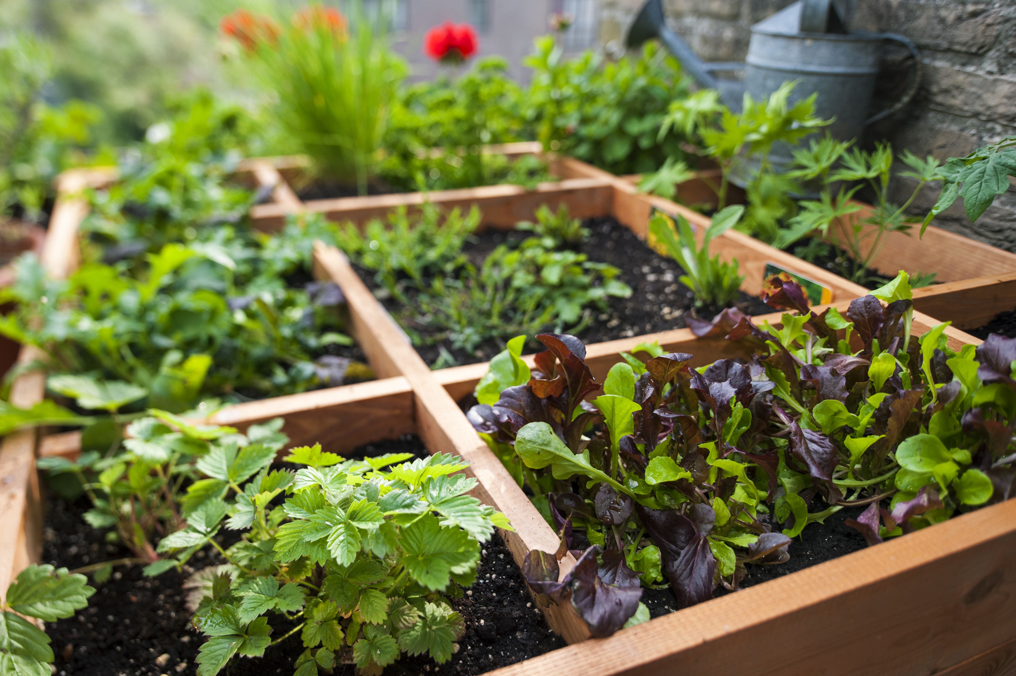 Raised Garden Bed,Divided 4 Grids Fabric Raised Planting Bed Square Garden ...