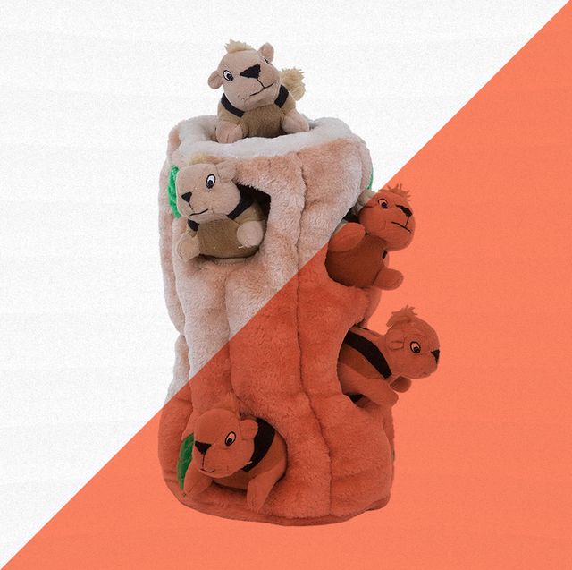 outward hound squirrel plush puppy toy against orange and white background
