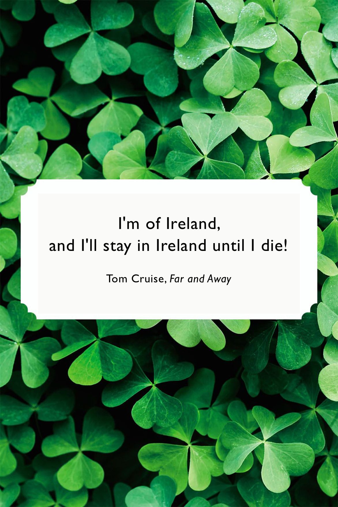 Cute St Patrick's Day Sayings 44 Best St. Patrick's Day Quotes - Happy St. Patrick's Day Sayings Cute St Patrick's Day Sayings 44 Best St. Patrick's Day Quotes - Happy St. Patrick's Day Sayings