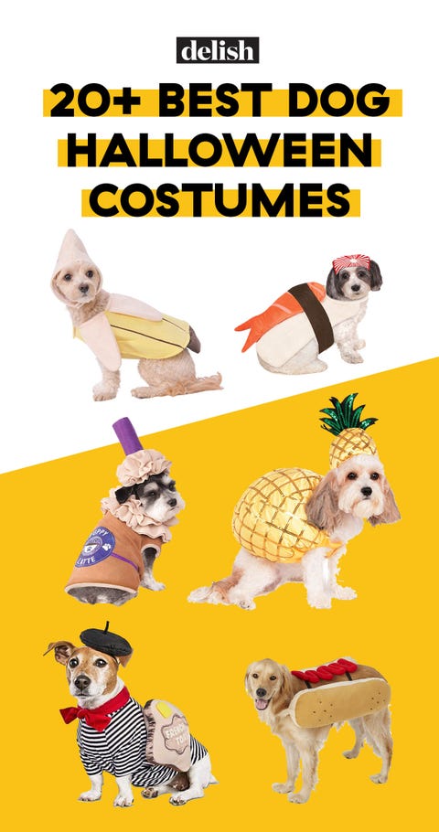 20 Cute Dog Halloween Costumes Food Theme Costume Ideas For Dogs