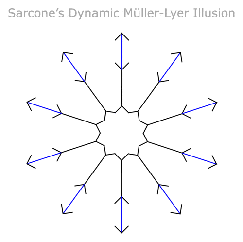three animations make it easy to understand pi animated circle