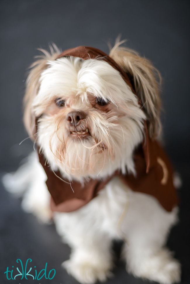 Star Wars Ewok Pet Costume