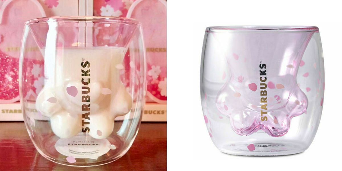Limited-Edition Cat Paw Cups Lead To Brawl In A Starbucks ...
