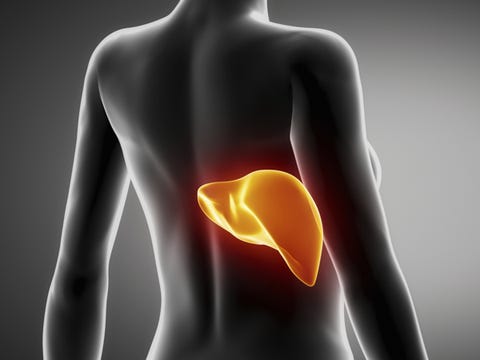 1. Sugar makes your organs fat image