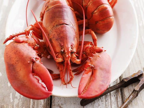 3 Fresh Lobster Recipes