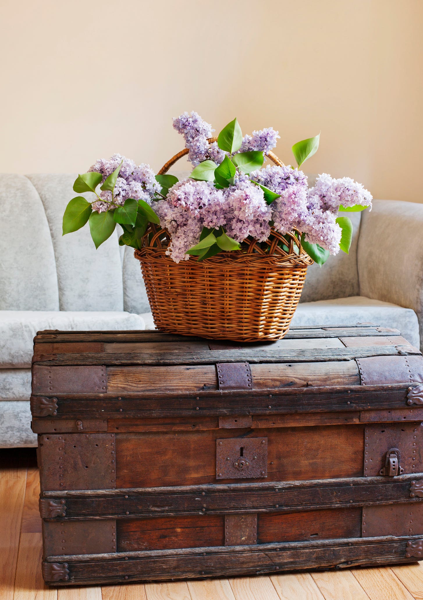 cozy cottage living rooms