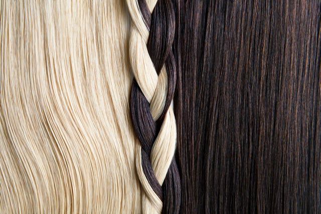 still life of blond and brown hair, braided