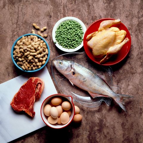 still life of protein foods