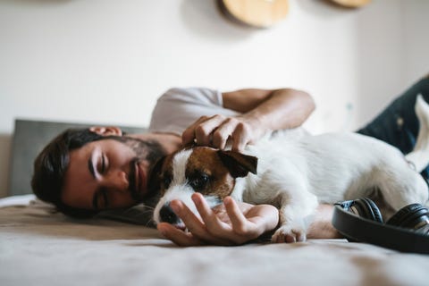 Hot Men Holding Puppies Who Will Make This Election A Little Less Terrible