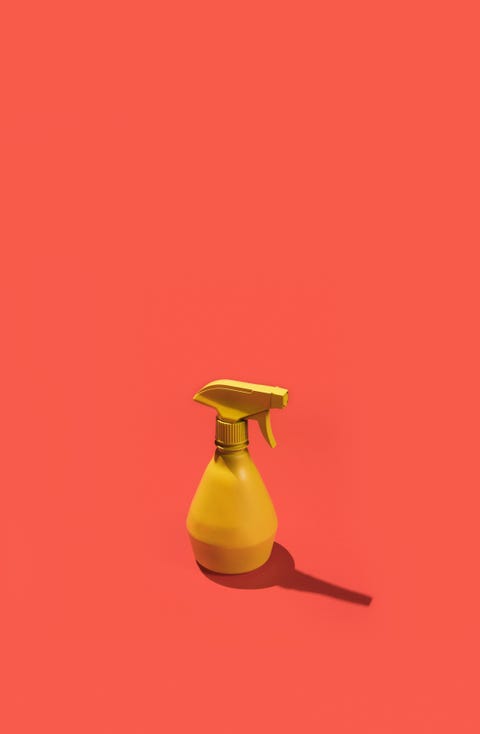 Jaune, Photographie de Nature morte, Vase, Photographie, Nature morte, Magenta,