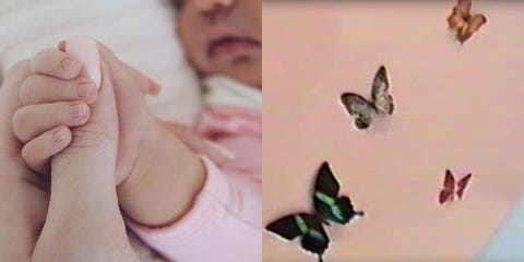 The Butterfly Effect