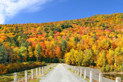where to go in october 2020 vermont