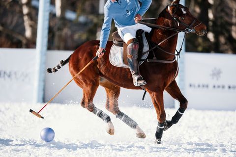 Store expand computer Snow Polo Photos - What is Snow Polo?