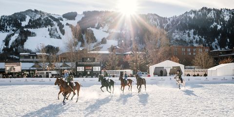 Snow, Winter, Skijoring, Horse, Recreation, Mountain, Mountain range, Winter sport, Ice, Tourism, 