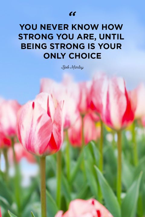 Strength quotes strong only choice