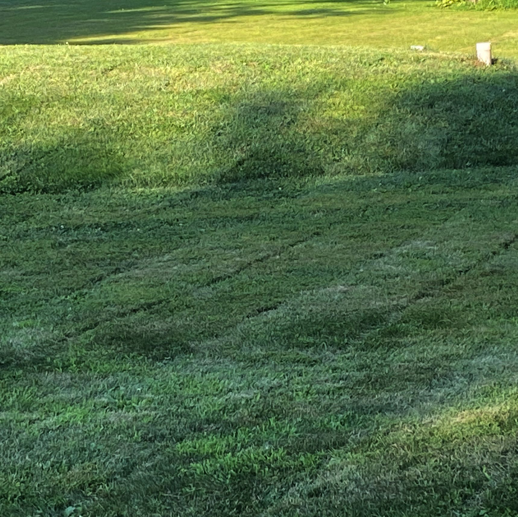 Tips for Making Beautiful, Neat Stripes on Your Lawn