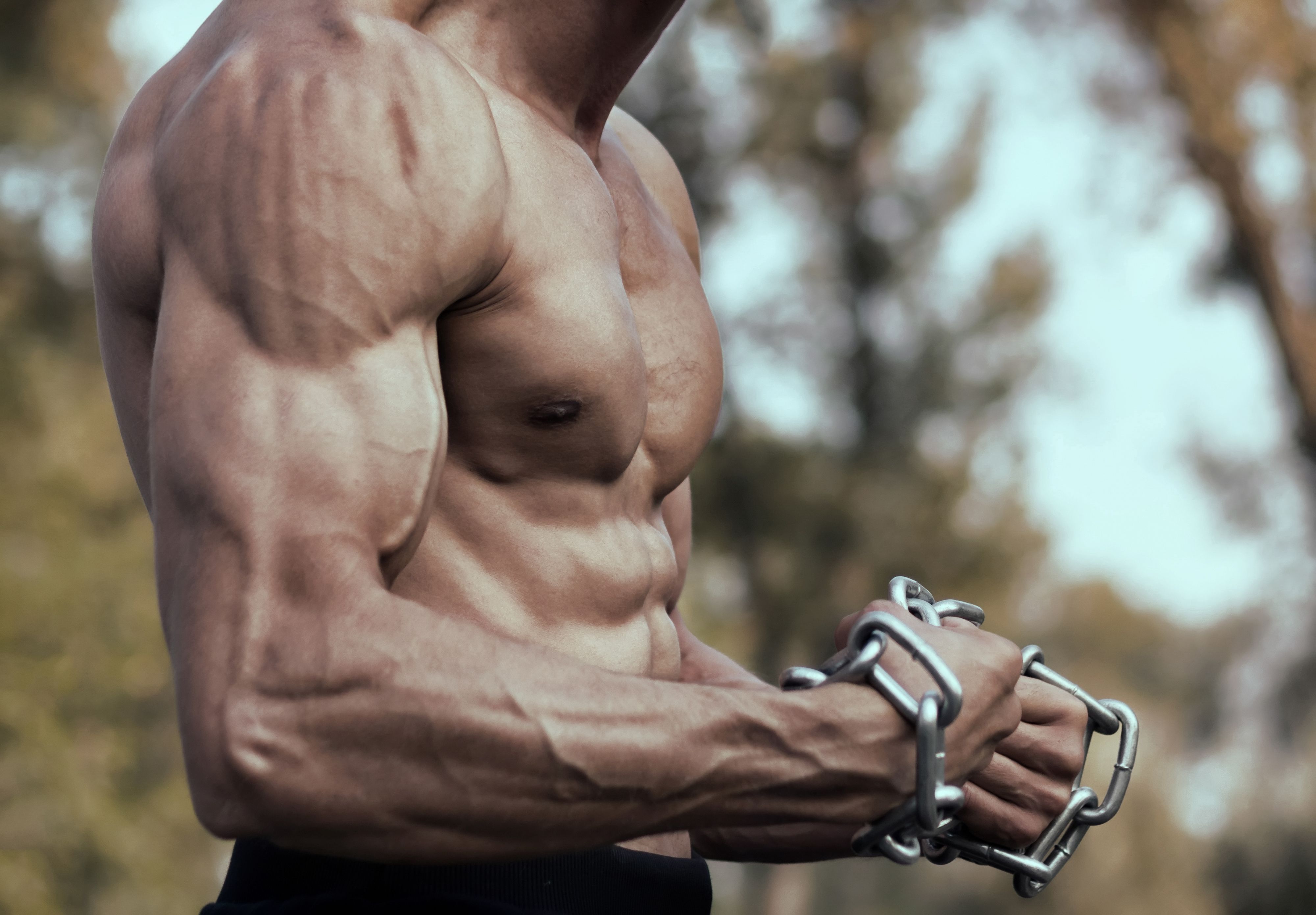 how to make forearms bigger