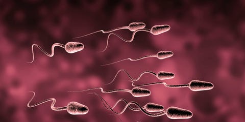 5 Easy Ways to Strengthen Your Sperm Right NOW